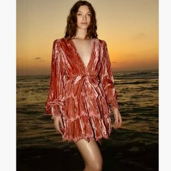 HEMANT & NANDITA Dresses & Skirts - Hemant & Nandita Reha Velvet Dress in Pink.